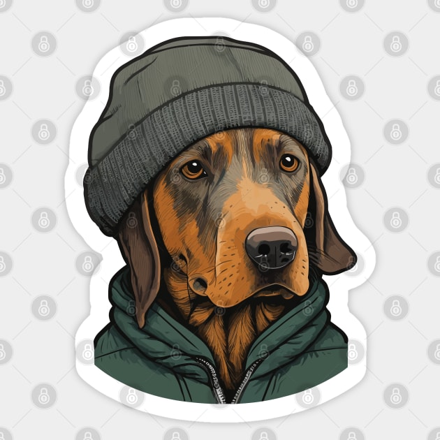 Dog in a beanie outlet